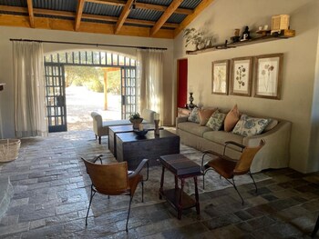 alma liebre vinedos del valle