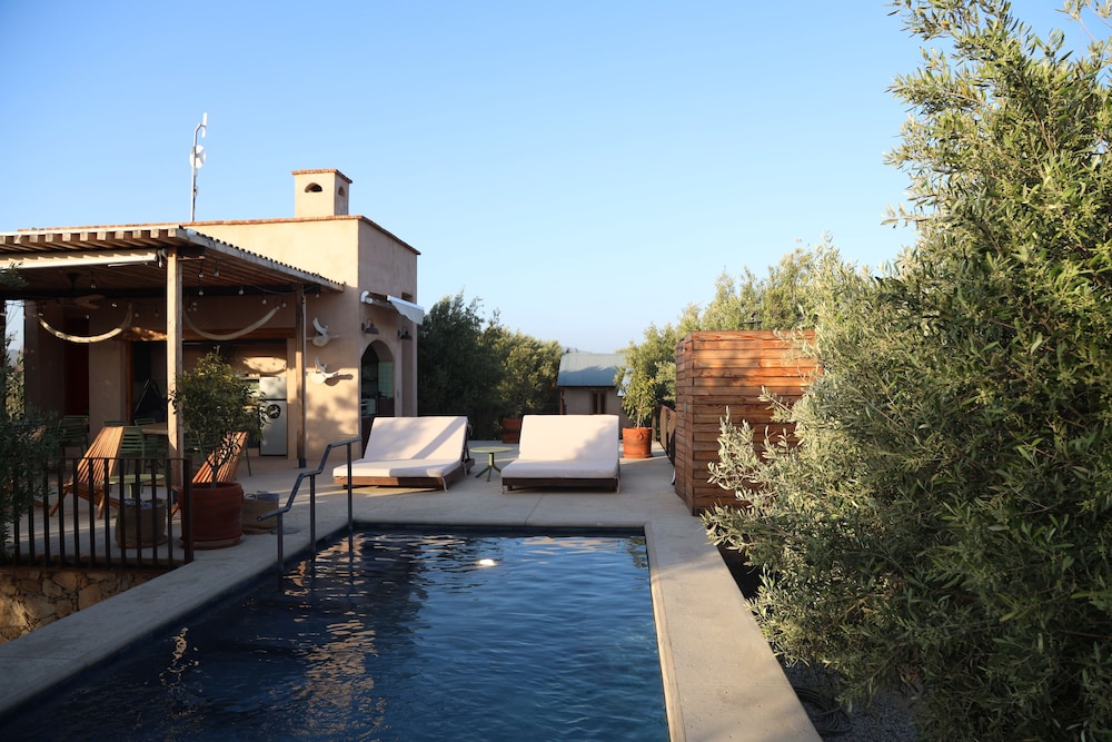 alma liebre vinedos del valle