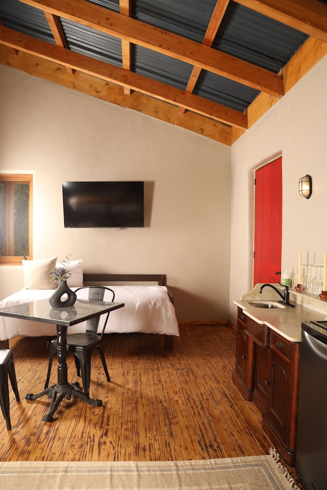 alma liebre vinedos del valle