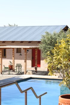 alma liebre vinedos del valle