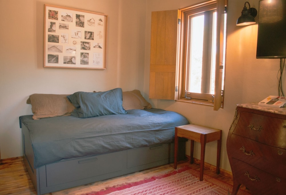 alma liebre vinedos del valle