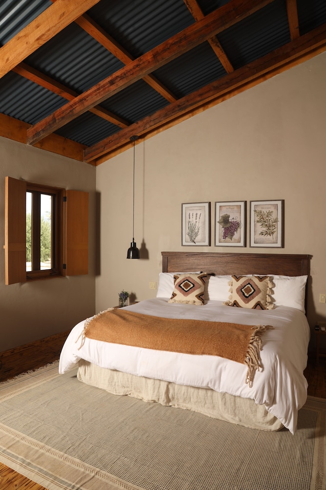 alma liebre vinedos del valle