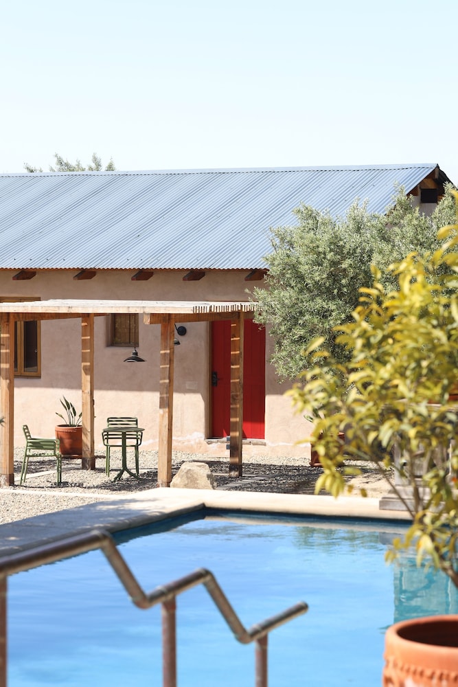 alma liebre vinedos del valle