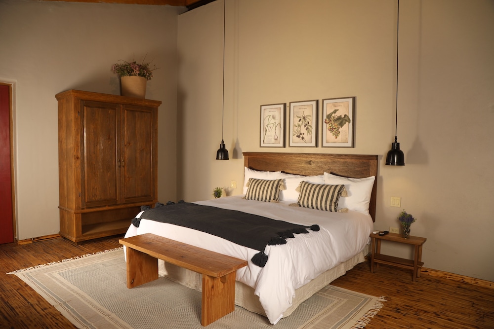 alma liebre vinedos del valle