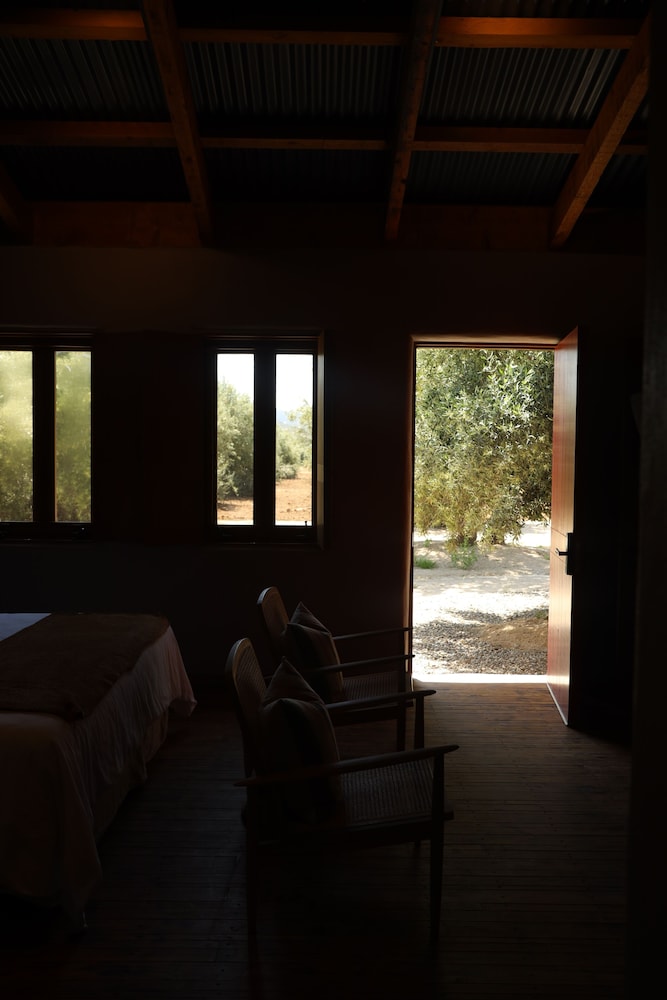 alma liebre vinedos del valle