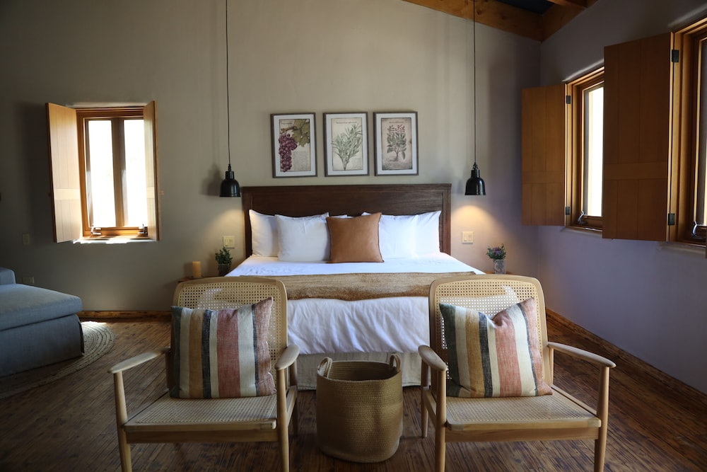 alma liebre vinedos del valle