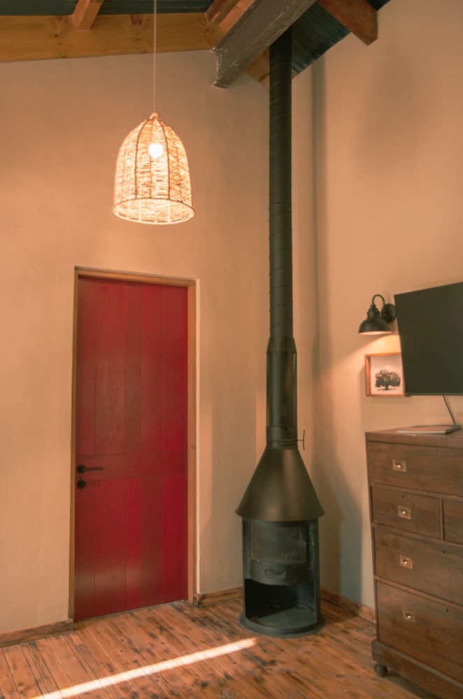 alma liebre vinedos del valle