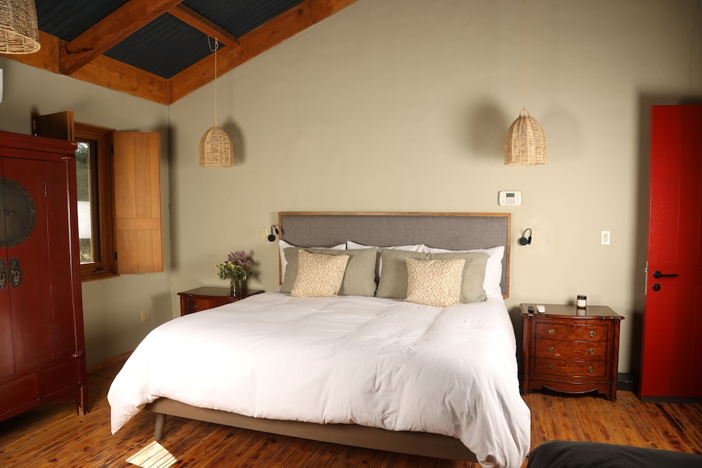 alma liebre vinedos del valle