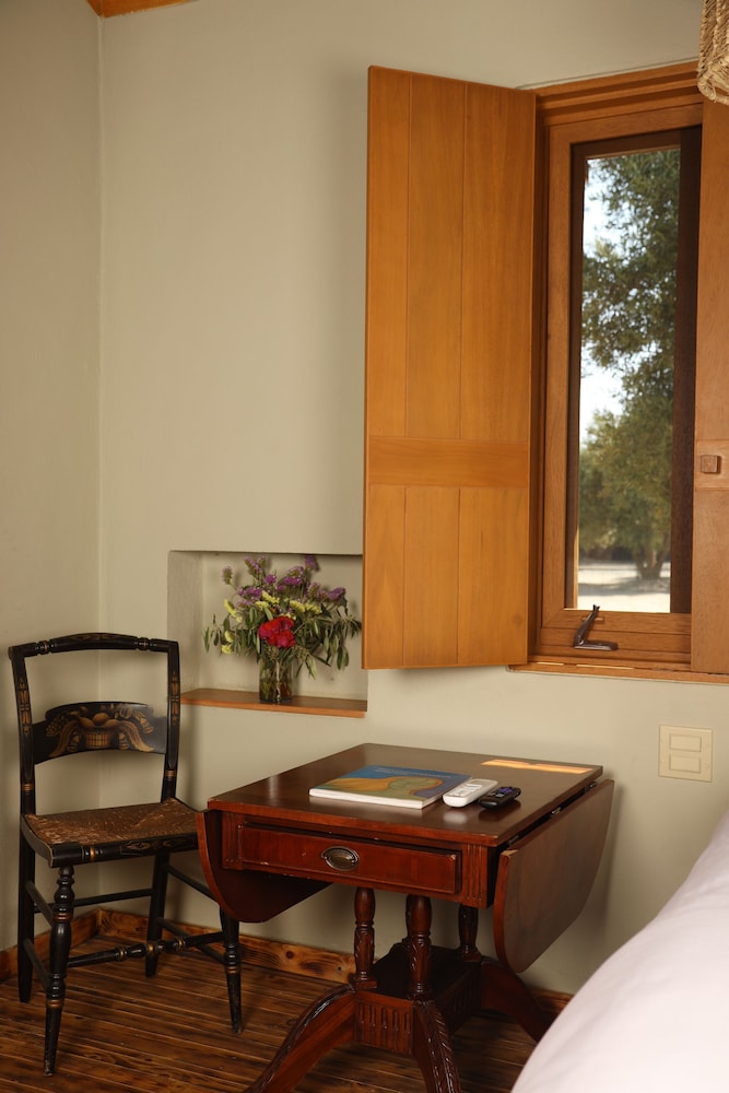 alma liebre vinedos del valle