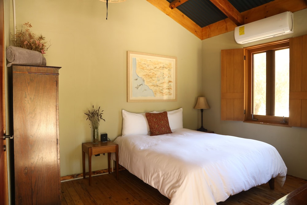 alma liebre vinedos del valle