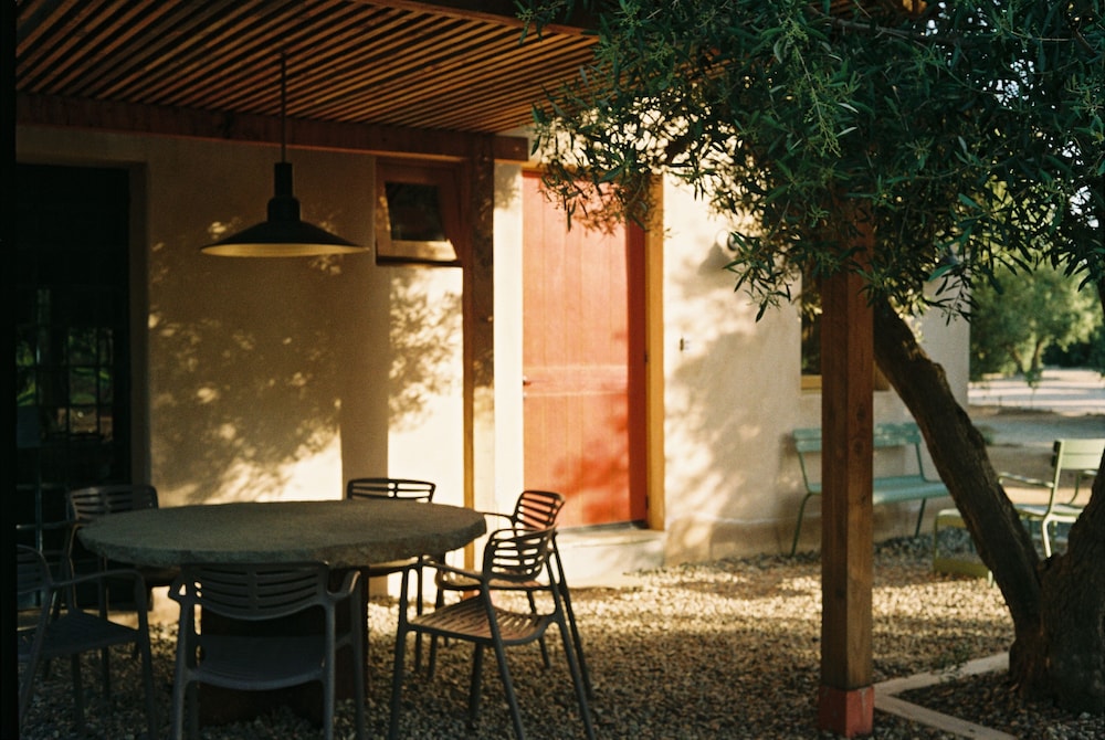 alma liebre vinedos del valle