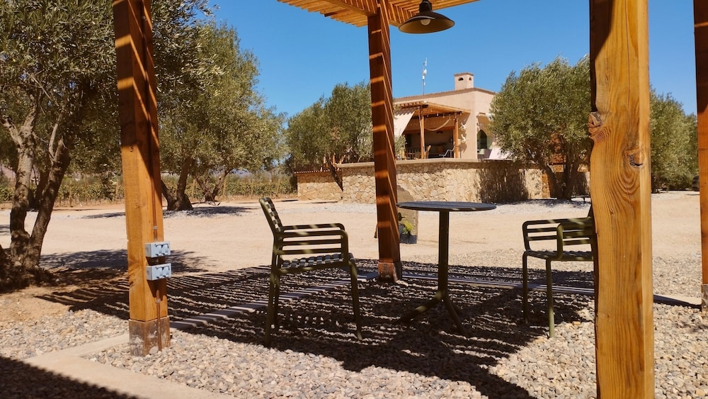 alma liebre vinedos del valle