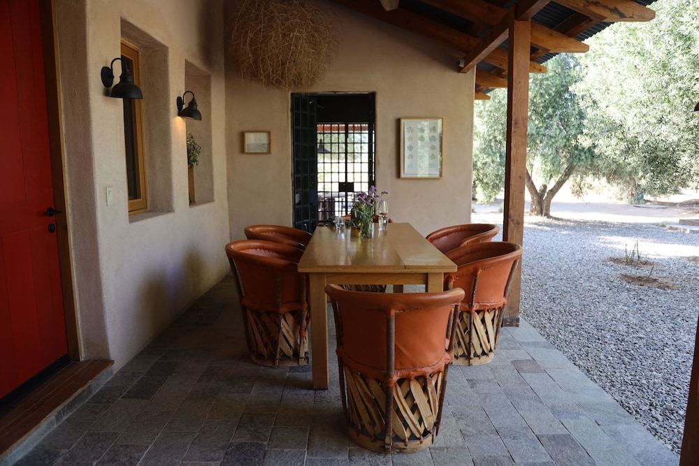 alma liebre vinedos del valle