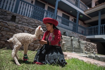 motto by hilton cusco