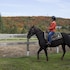 deerhurst resort