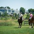 deerhurst resort