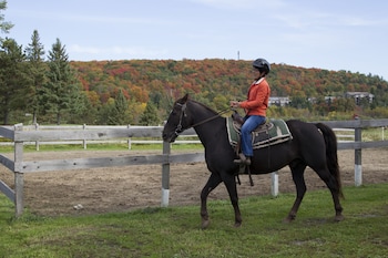 deerhurst resort