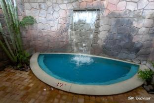 celestia suites at leonia