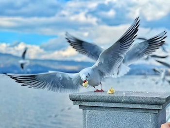 hilton garden inn kunming dianchi