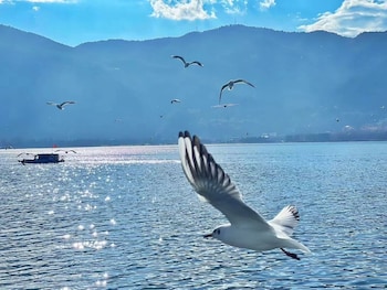 hilton garden inn kunming dianchi