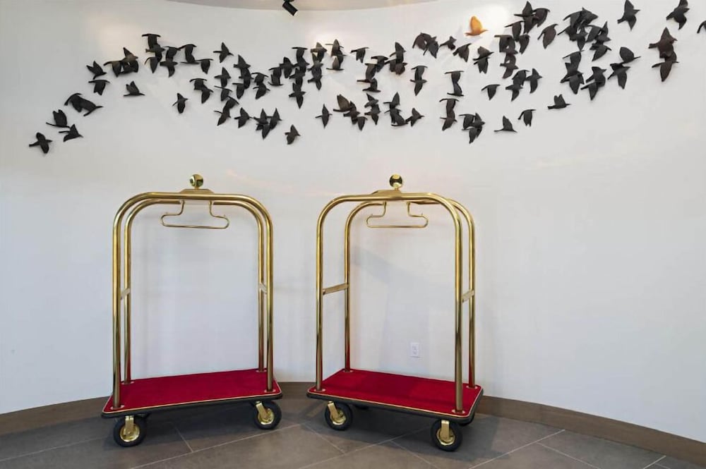 hotel indigo irving las colinas an ihg