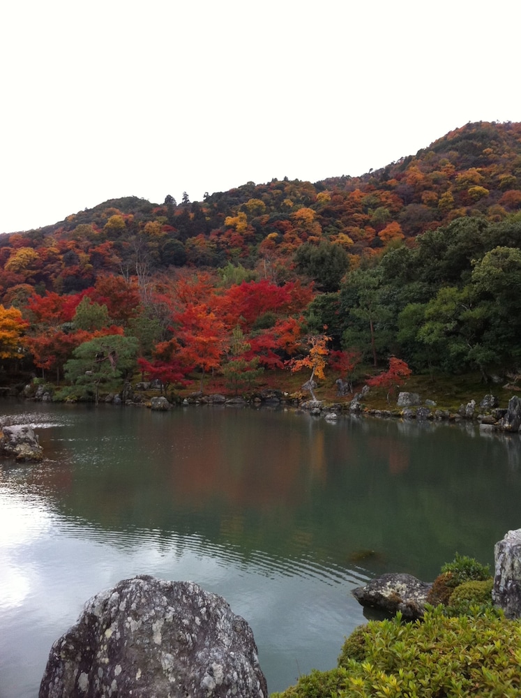 hotel livemax kyoto ekimae