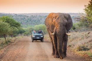 Leopard Mountain Safari Lodge,In A Regional Park,5 star
