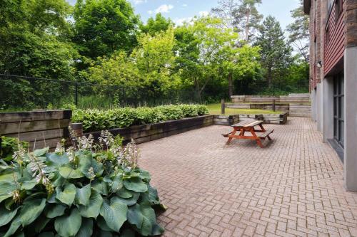 travelodge by wyndham barrie