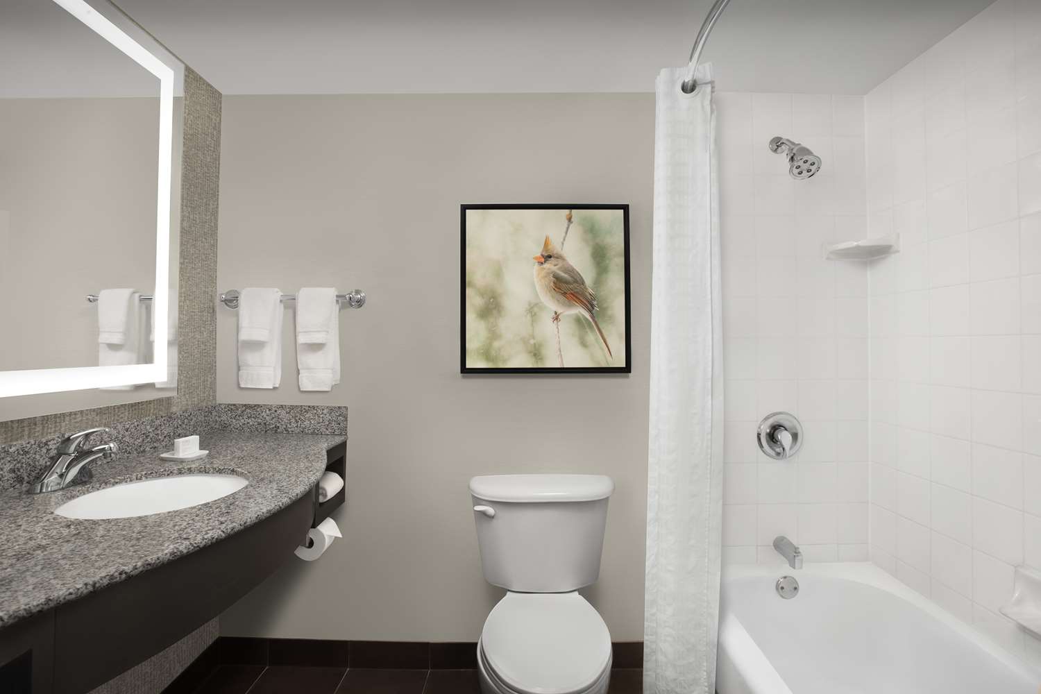 hilton garden inn hoffman estates