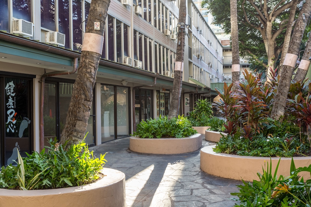 kuhio banyan club