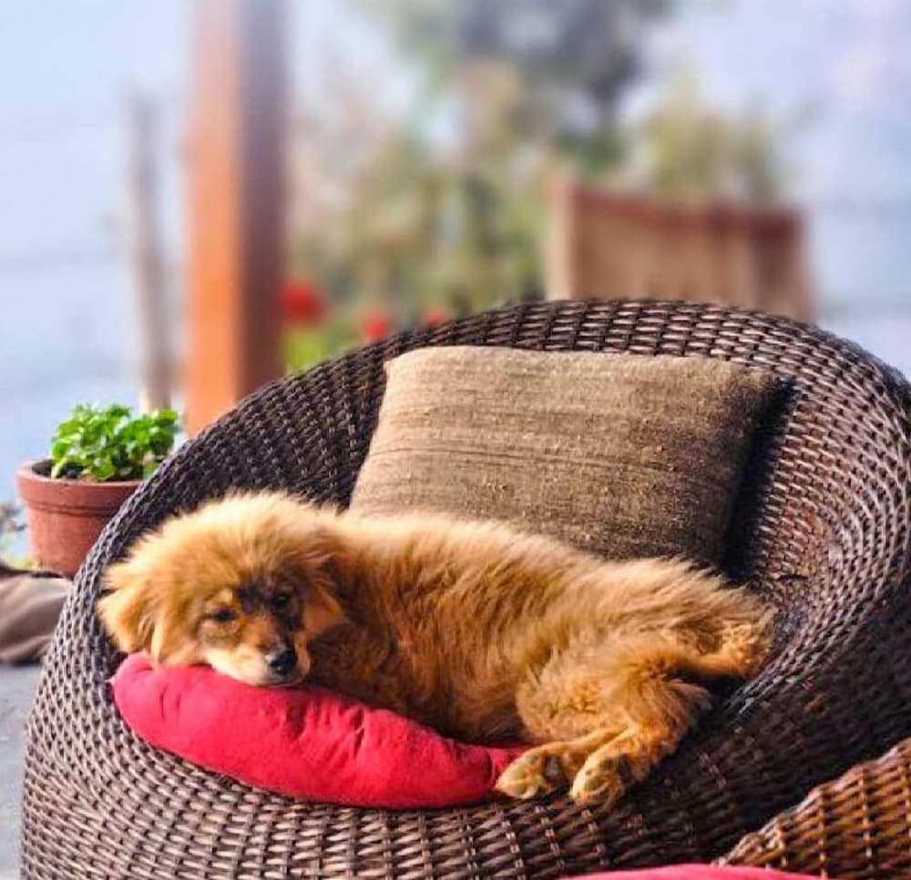 grand vijayawada by grt hotels