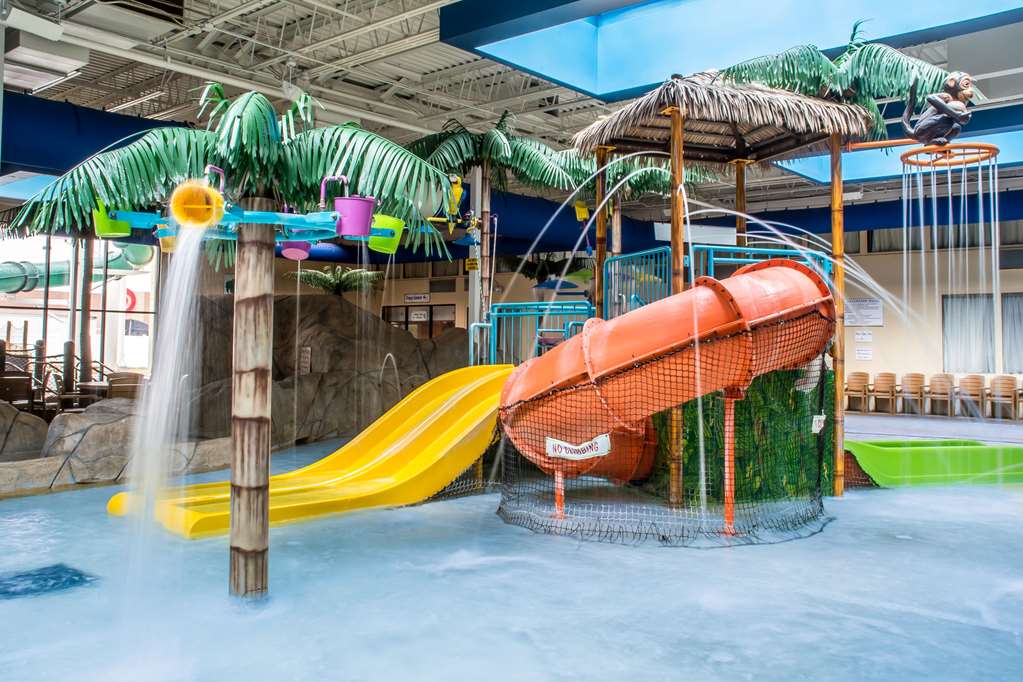 quality inn and suites palm island indoor waterpark