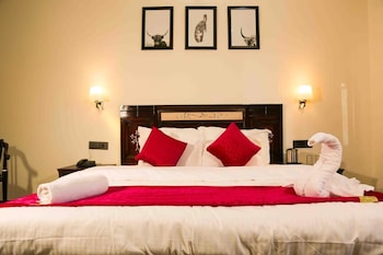 hotel capital city ladakh