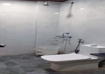 hotel brij palace and restaurant