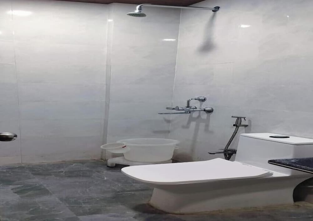 hotel brij palace and restaurant