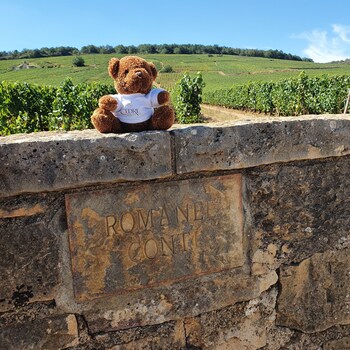 hostellerie cedre and spa beaune