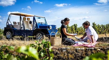 hostellerie cedre and spa beaune