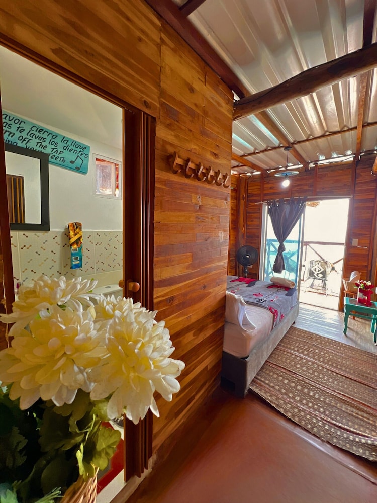 freedom beach hotel