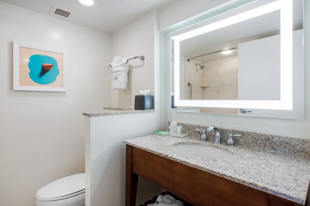 holiday inn orlando disney springs area