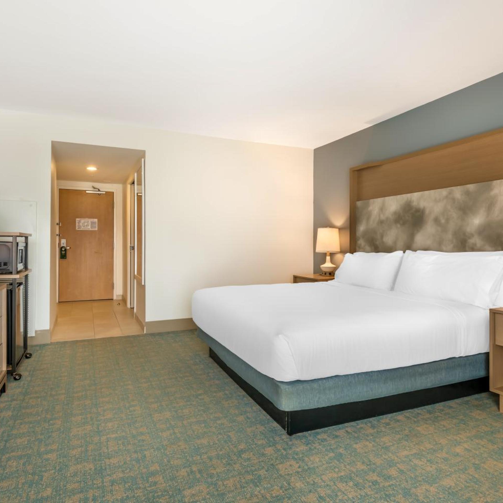 holiday inn orlando disney springs area