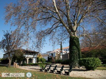 The Wine House Hotel - Quinta Da Pacheca,Mesao Frio>>Lamego,4 star