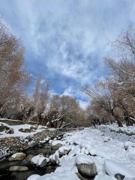 hotel mountain vibes