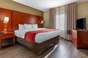 Comfort Inn Fort Mill Amusement Park At Carowinds Blvd,Fort Mill>>Charlotte,3 star
