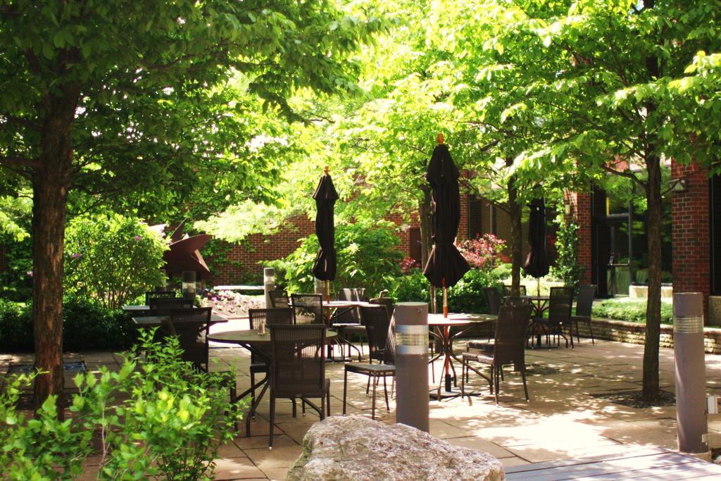 delta hotels by marriott toronto markham