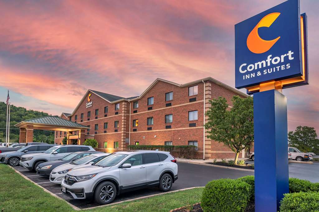 comfort inn and suites