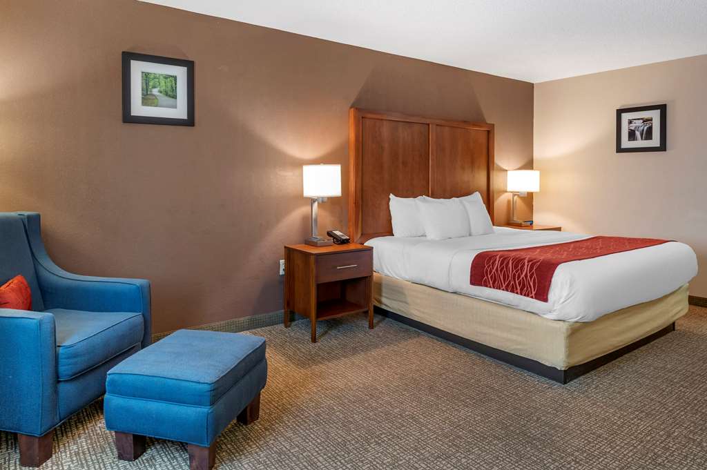 comfort inn and suites