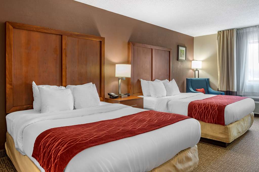 comfort inn and suites
