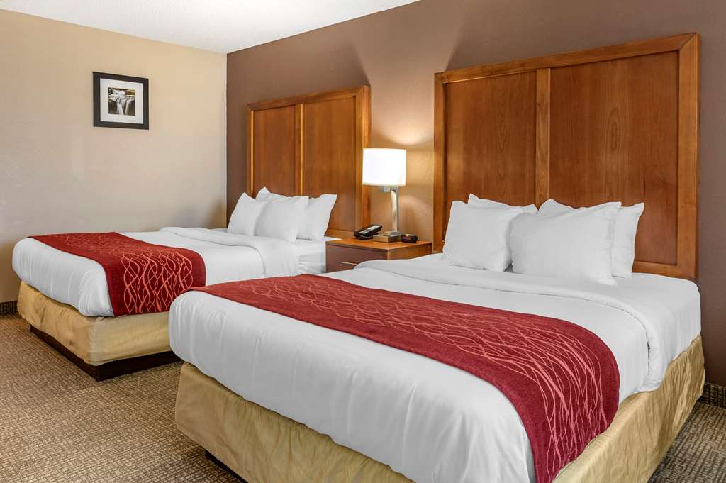 comfort inn and suites