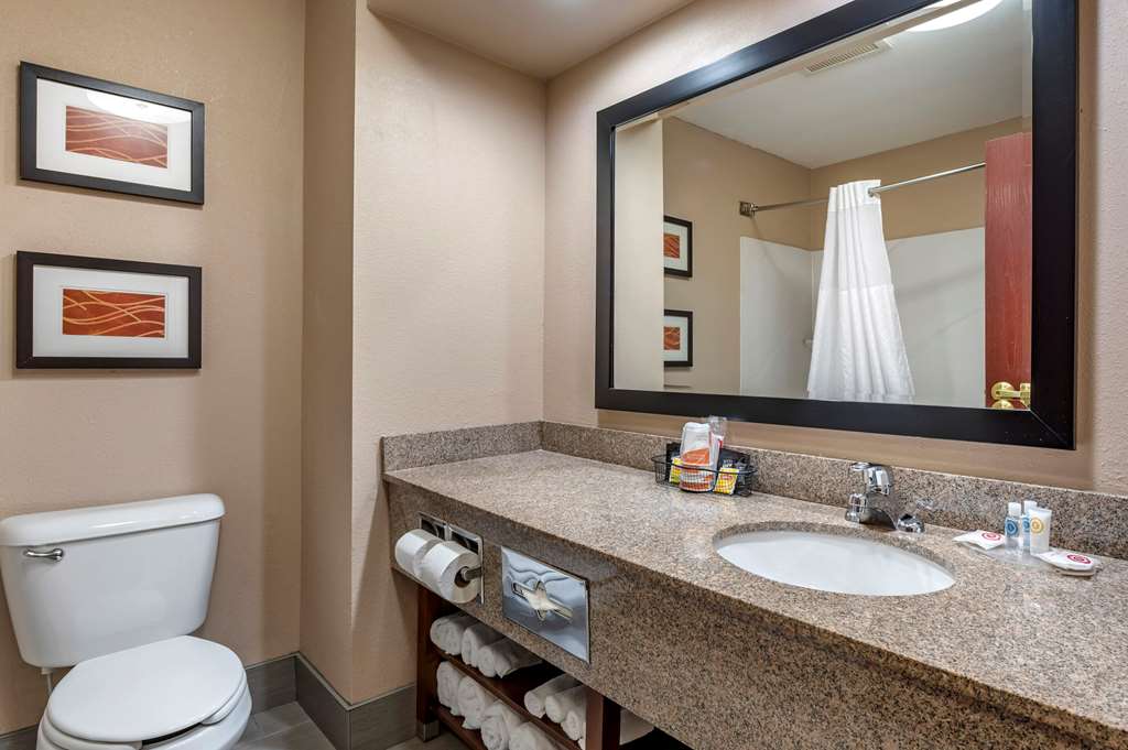 comfort inn and suites