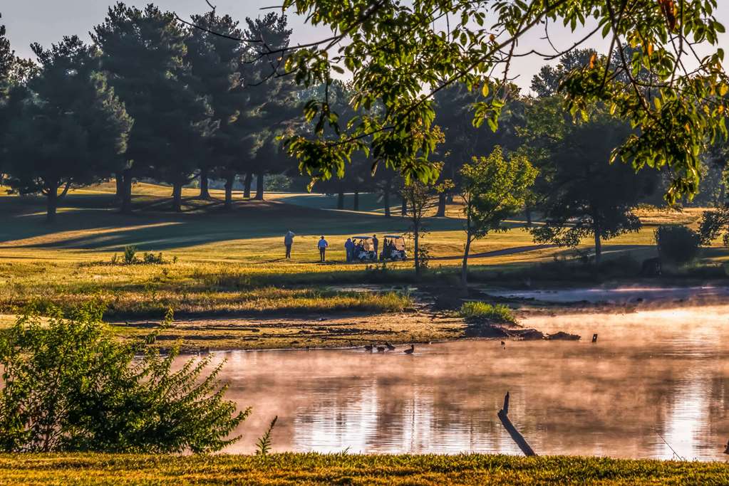 days inn lexington se hamburg